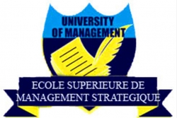 Logo officiel Ecole Supérieure de Management Stratégique